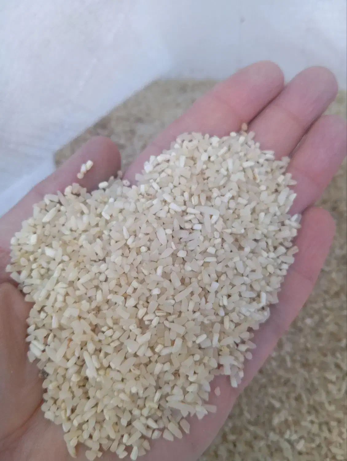 برنج سر لاشه معطر ایرانی|خوردنی و آشامیدنی|فریمان, |دیوار