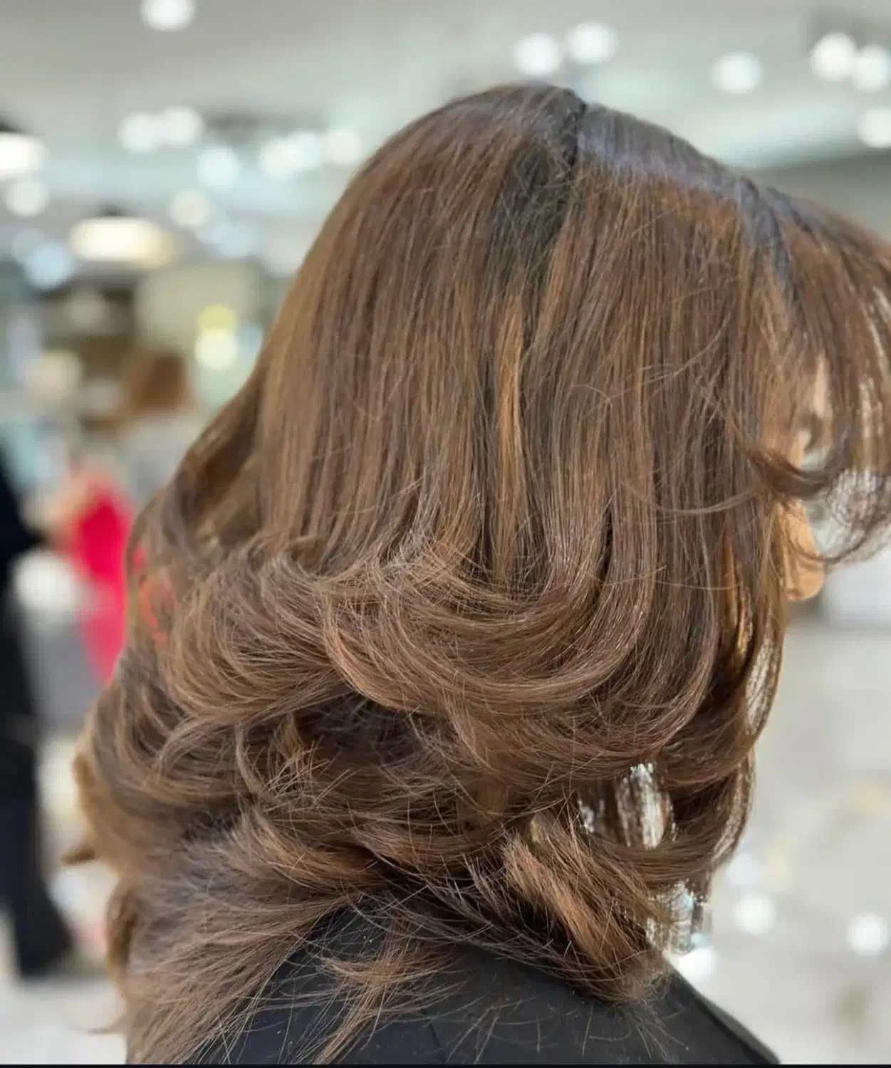 نیازمند مدل برای کوتاهی لیر|خدمات آرایشگری و زیبایی|رشت, کاکتوس|دیوار