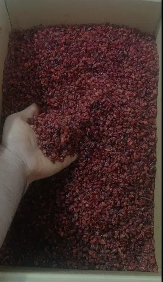 زرشک درجه ۲|خوردنی و آشامیدنی|تهران, ابوذر|دیوار