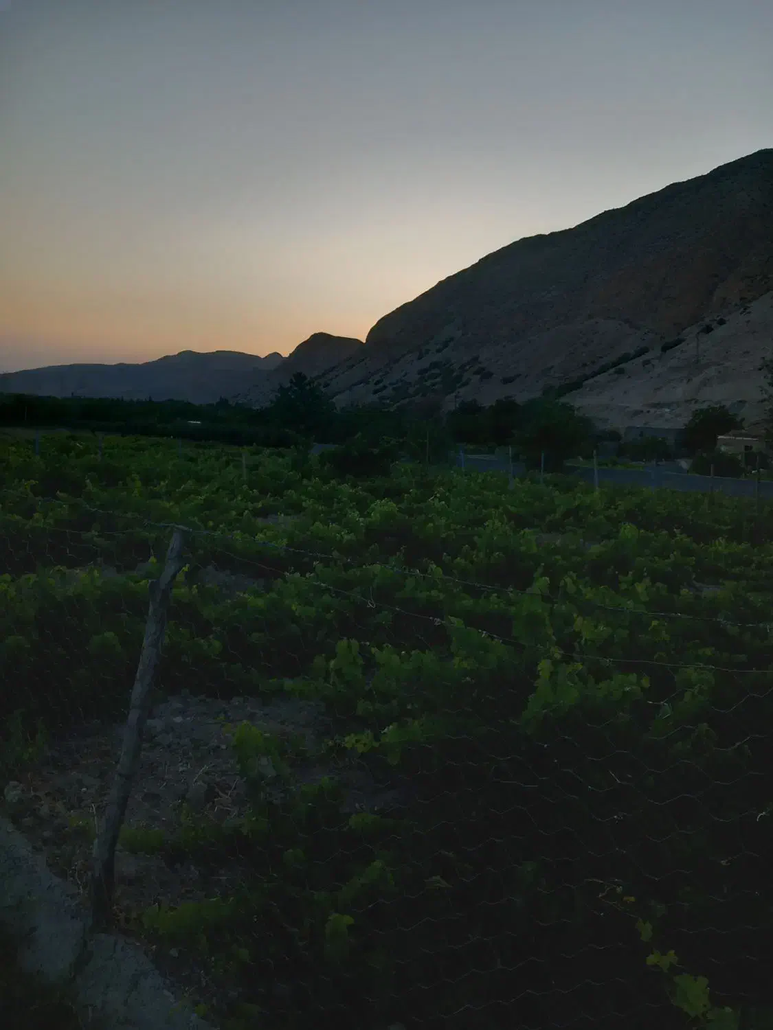 خرید ضایعات|عمده‌فروشی|بهشهر, |دیوار