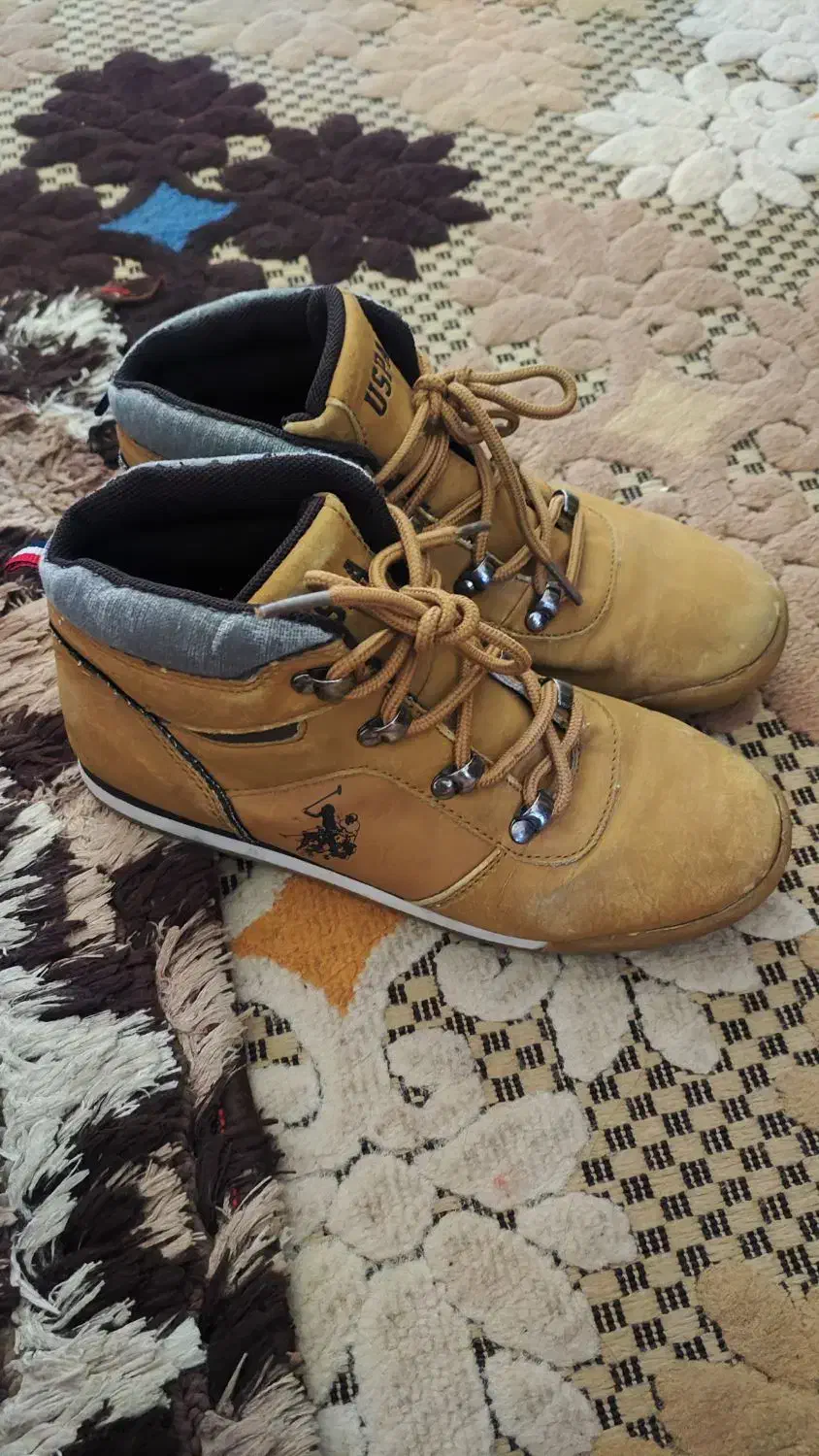 نیم پوت وکفش|کیف، کفش، کمربند|ملارد, |دیوار