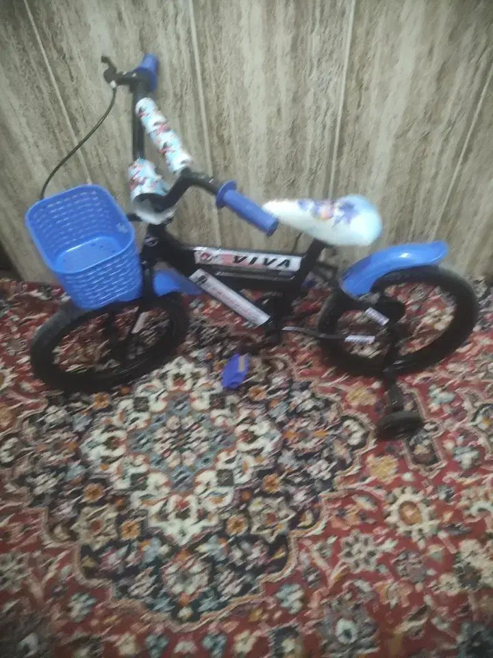 دوچرخه|دوچرخه، اسکیت، اسکوتر|تربت جام, میان جام|دیوار