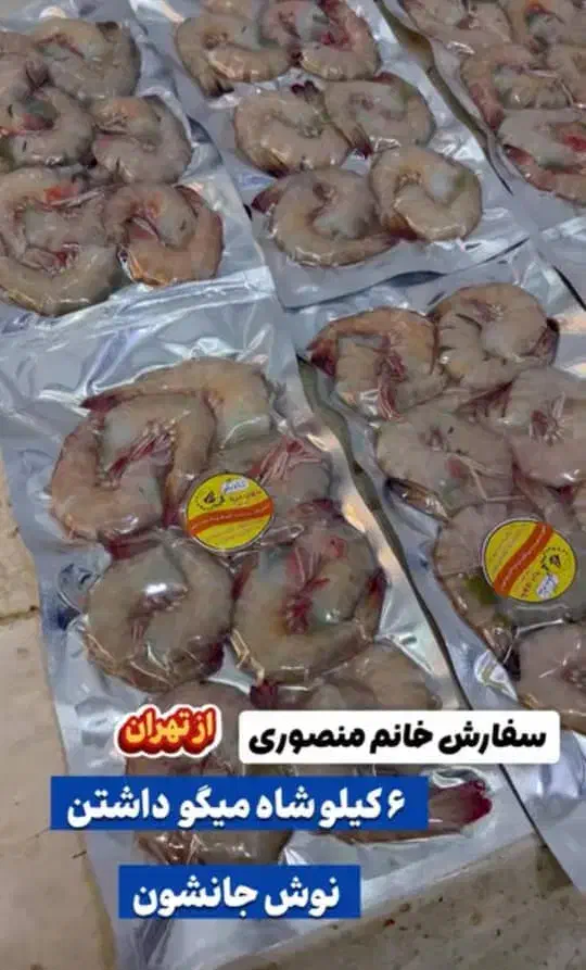 انواع ماهی و میگو بندرهندیجان|خوردنی و آشامیدنی|قم, جوی شور|دیوار