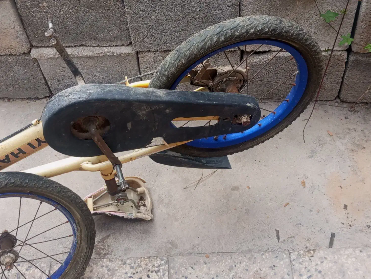 دوچرخه 16|دوچرخه، اسکیت، اسکوتر|خورموج, |دیوار