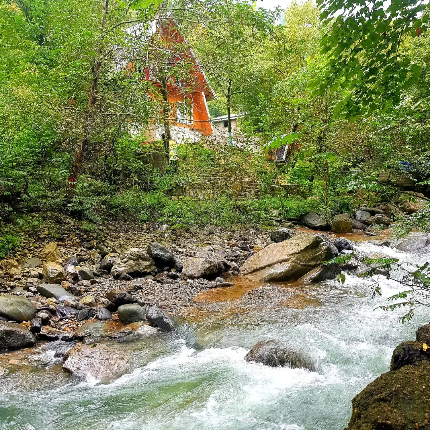 کلبه چوبی امیر دربست|اجارهٔ کوتاهمدت ویلا و باغ|اسالم, |دیوار