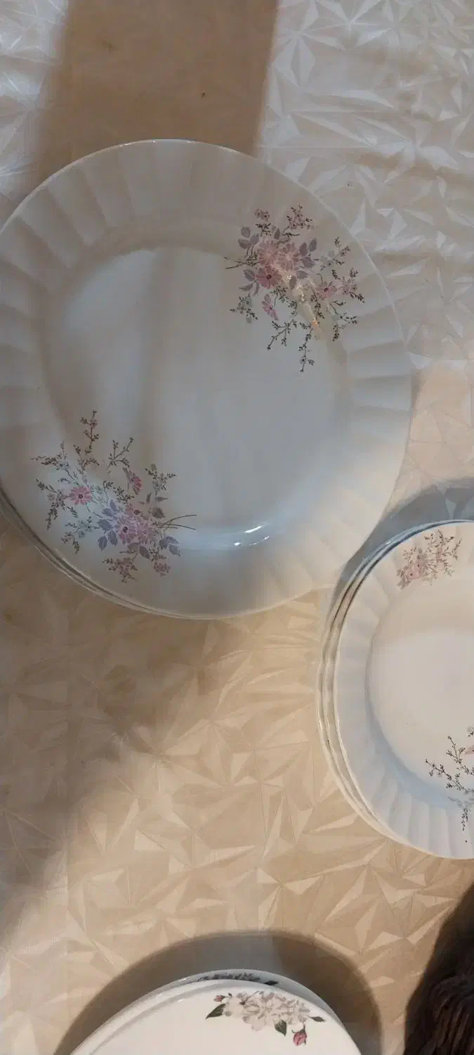 ظرف چینی|ظروف سرو و پذیرایی|شاهینشهر, شهرک گلدیس|دیوار