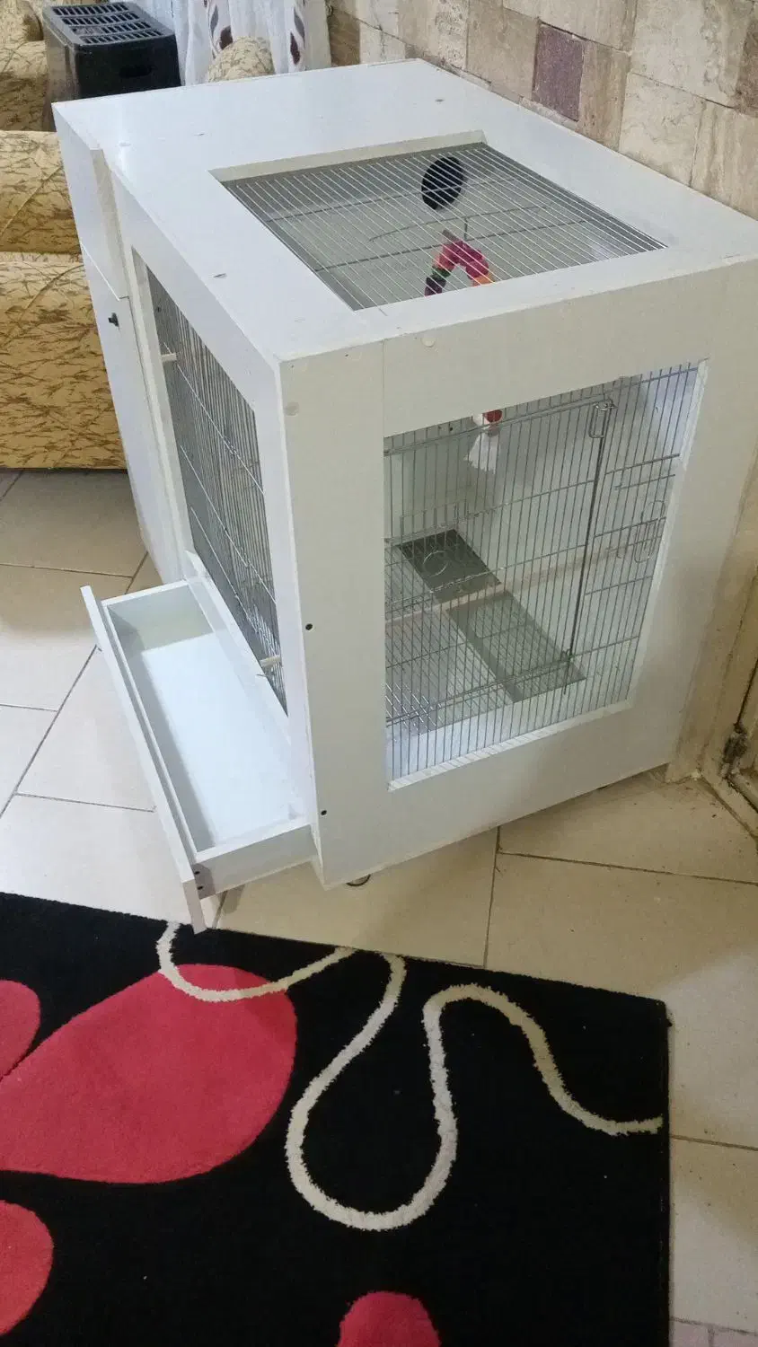 بومهن تپه شهرآباد|لوازم جانبی حیوانات|بومهن, |دیوار