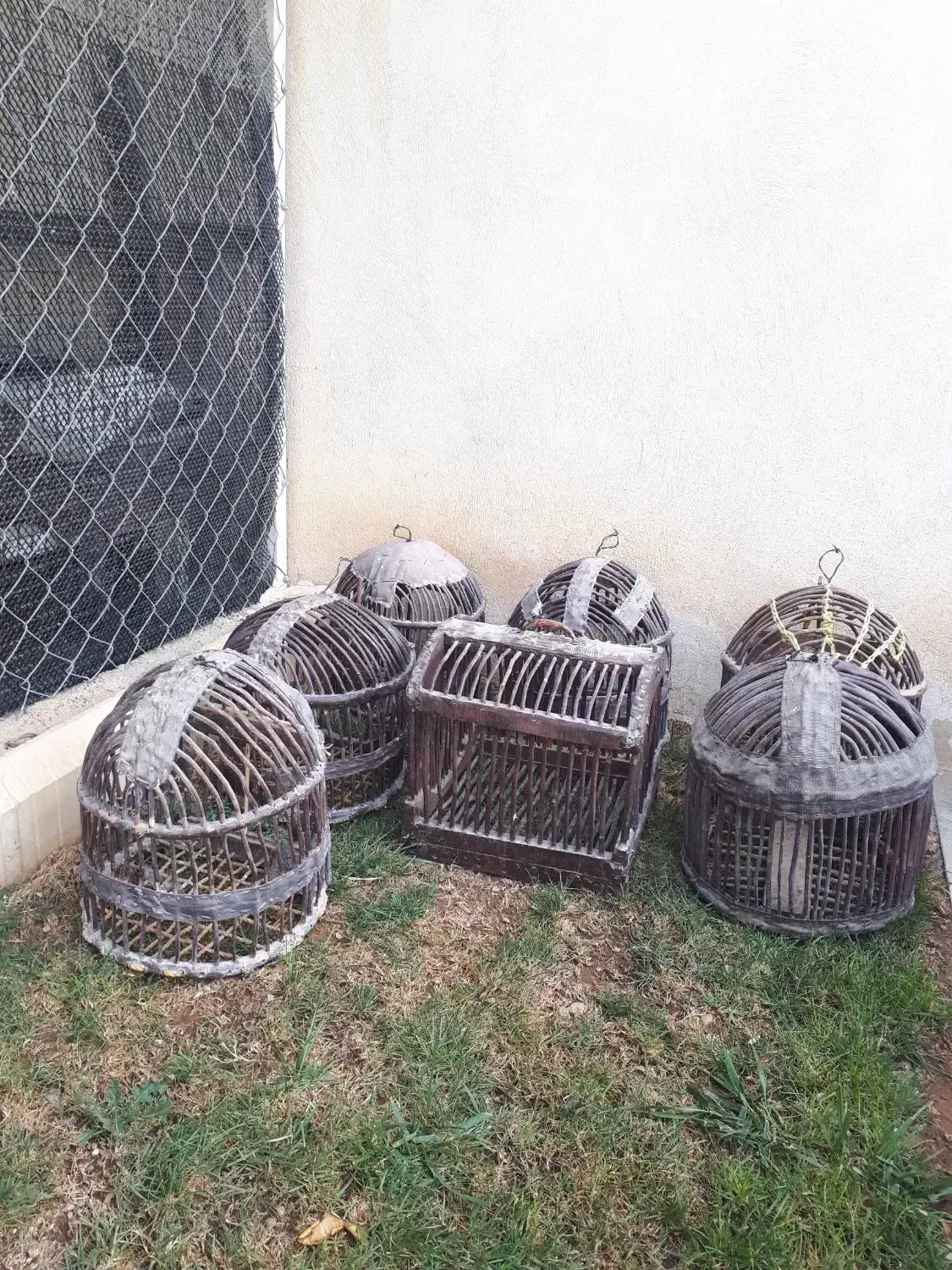 قفس کبک|لوازم جانبی حیوانات|ملکشاهی, |دیوار