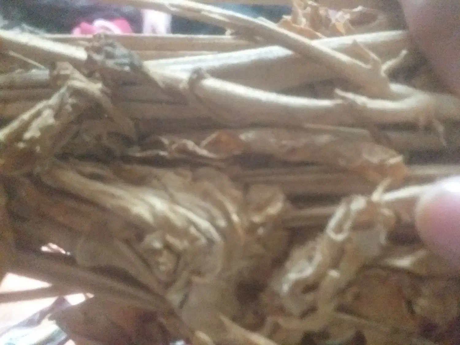 برگ کاهو خشک|عمده‌فروشی|برازجان, |دیوار