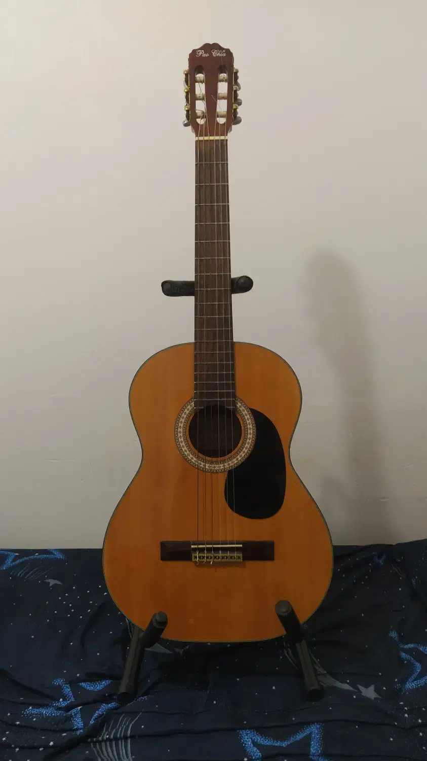 گیتار پائوچیو پروفشنال|گیتار، بیس، امپلیفایر|رامسر, |دیوار