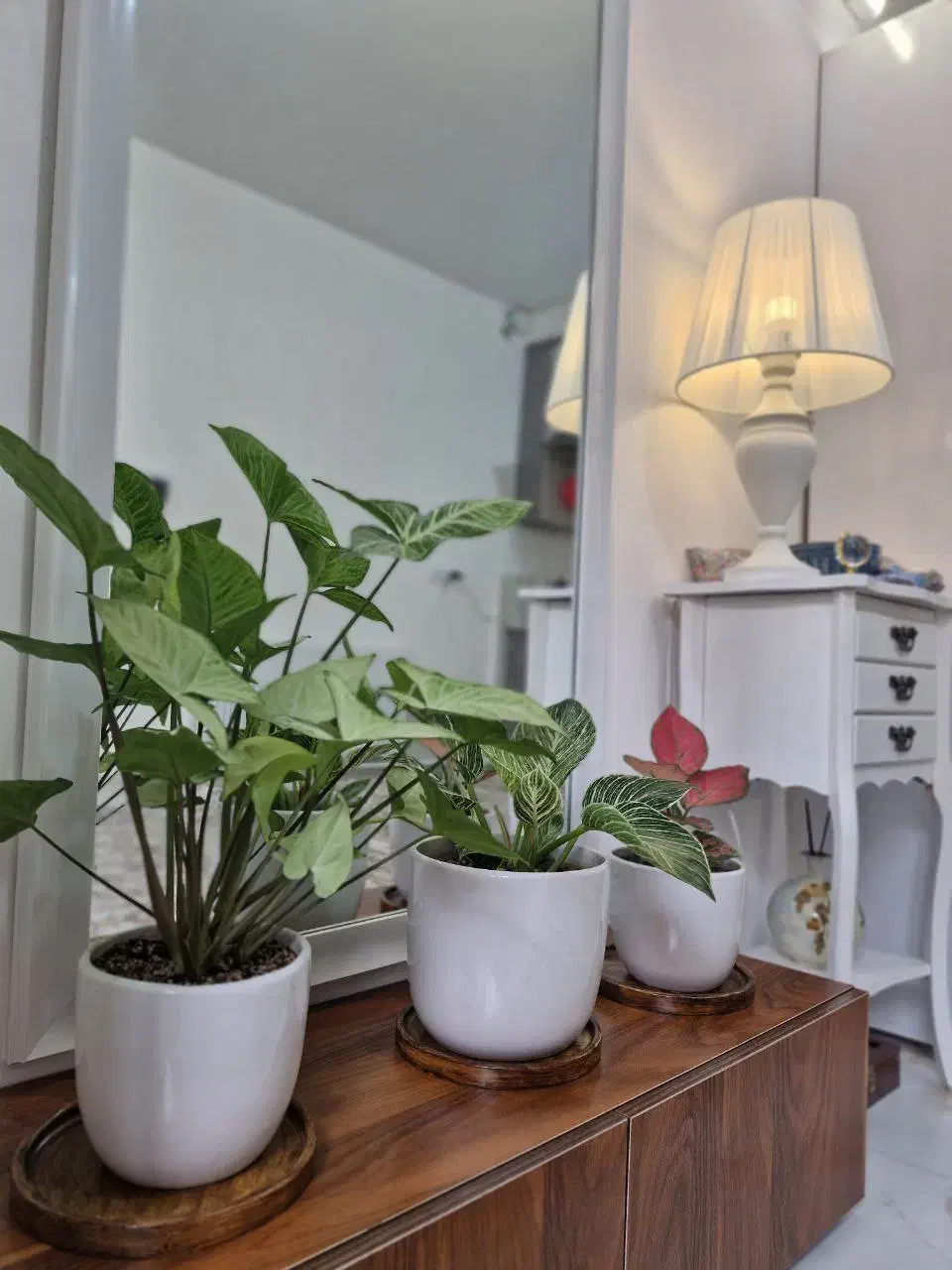 سوییت هر تایم از شبانه روز|اجارهٔ کوتاهمدت آپارتمان و سوئیت|تبریز, |دیوار