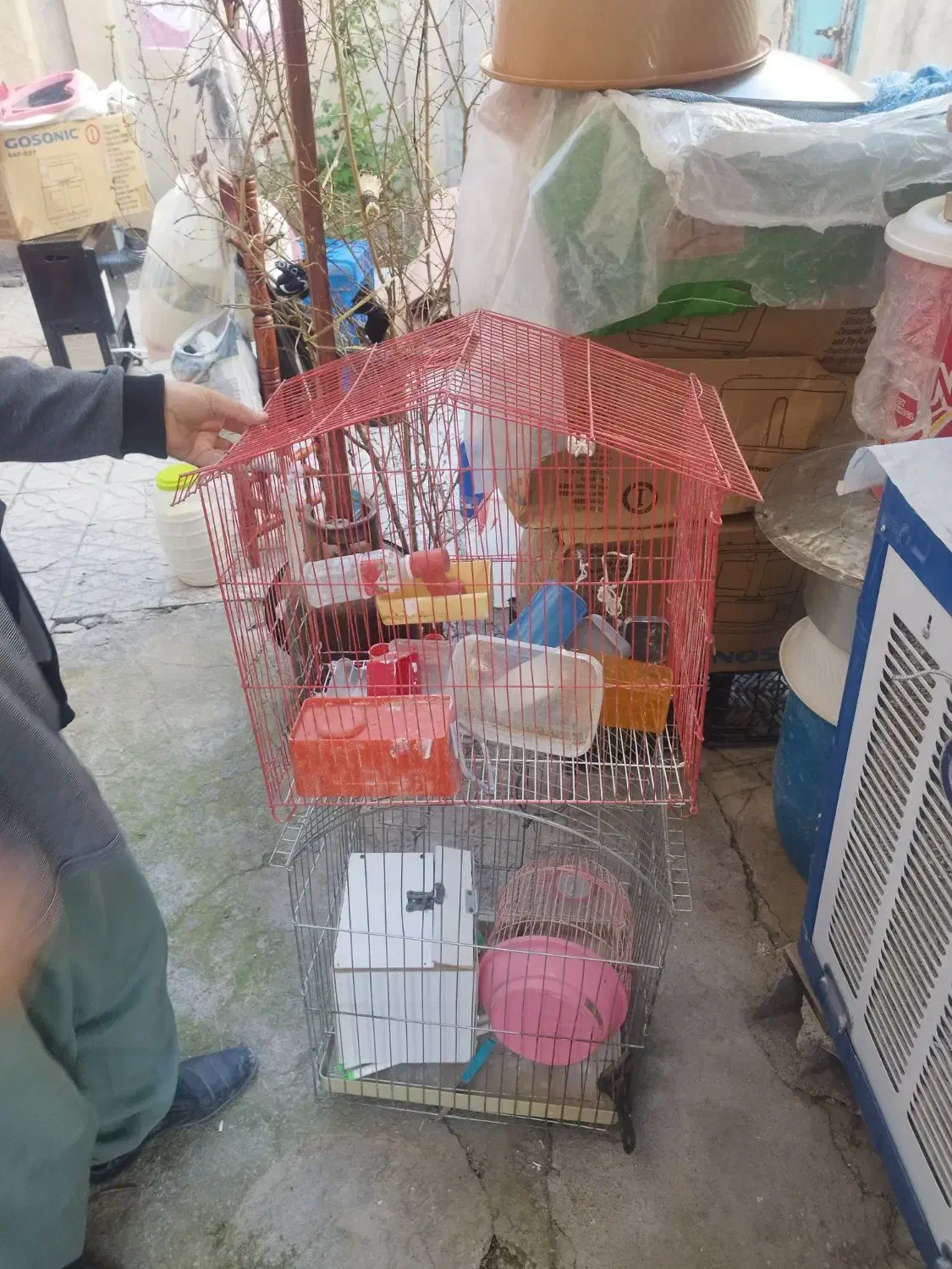 قفس|لوازم جانبی حیوانات|جوانرود, |دیوار