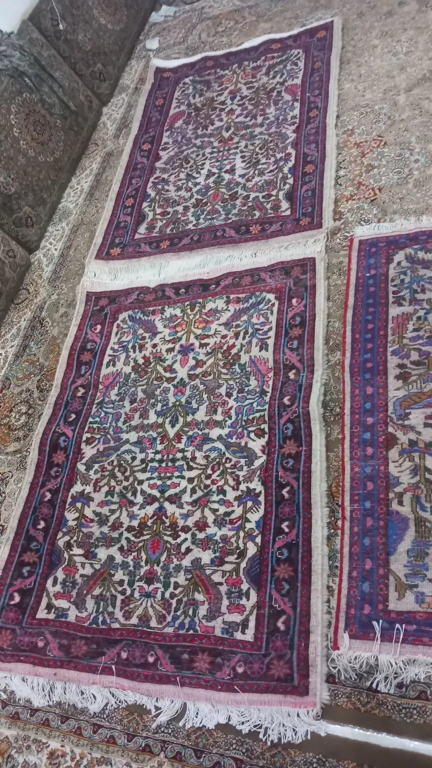 قالی خَرَک|فرش|قم, شهرک امام حسین|دیوار