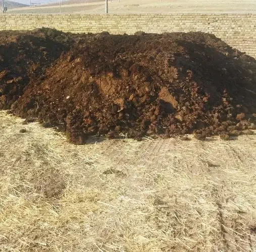 کود حیوانی گوسفندی سوخته|خدمات باغبانی و درختکاری|خرمآباد, |دیوار