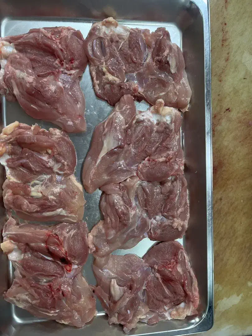 شنسل ران سینه بوقلمون مرغ کتف بال سینه|خوردنی و آشامیدنی|محمدشهر, همایون ویلا|دیوار