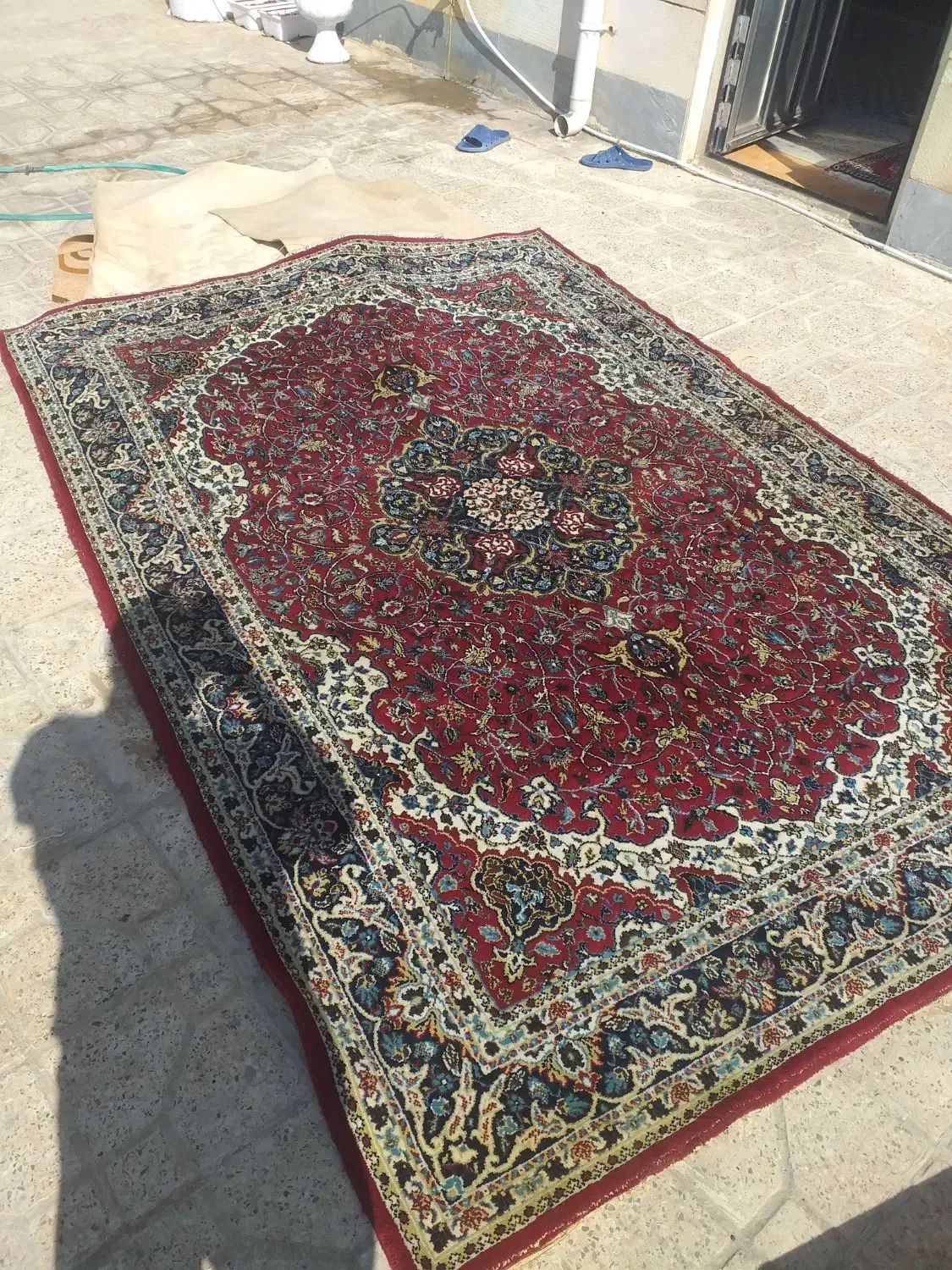 فرش ۶ متری و موکت سایز بزرگ|فرش|ایلام, |دیوار