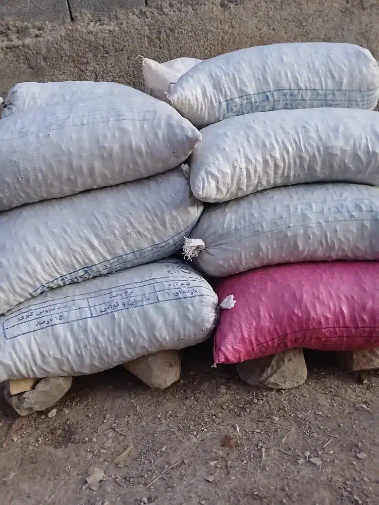 بلوط|خوردنی و آشامیدنی|سیوان, |دیوار