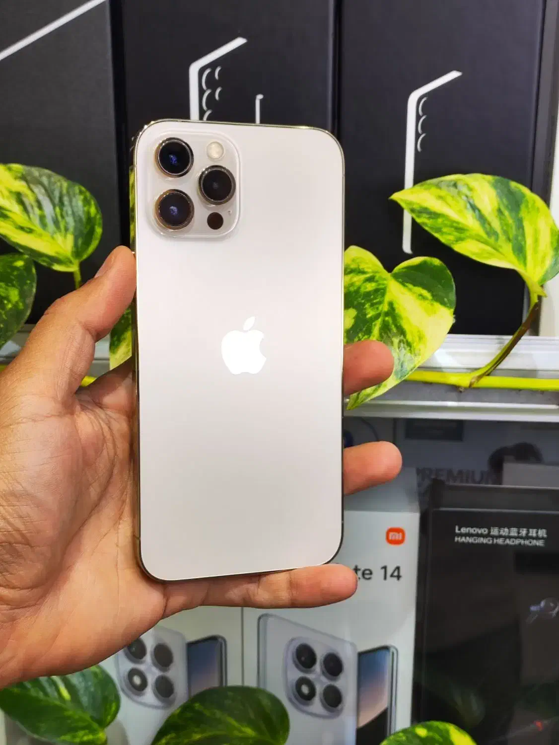 iPhone 12Promax حافظه ۲۵۶ گیگ|موبایل|شیراز, سیلو|دیوار