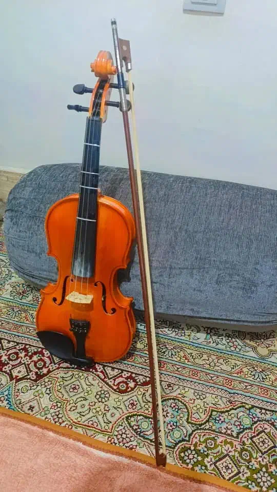 ویولون|ویولن|فیروزآباد (فارس), |دیوار