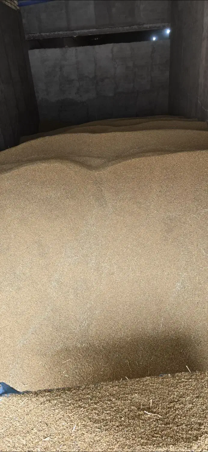 برنج کامفیروزی|خوردنی و آشامیدنی|کر, |دیوار