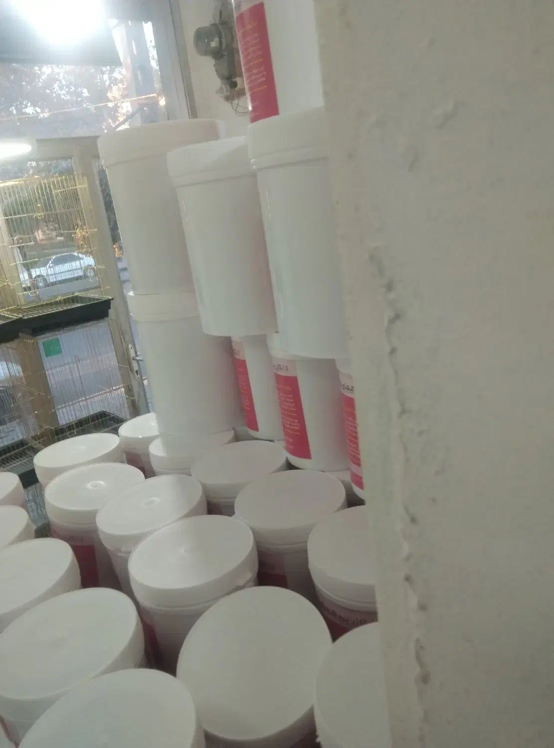 جفت‌های مولداصلاح نژادارمنستانی تضمینی آیهان|پرنده|خوی, |دیوار