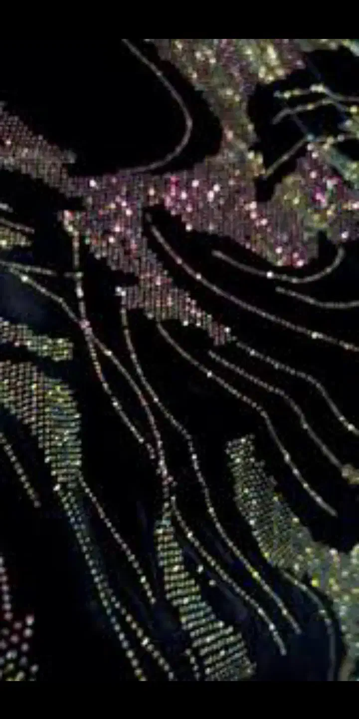 پارچه نگین|لباس|صومای برادوست, |دیوار