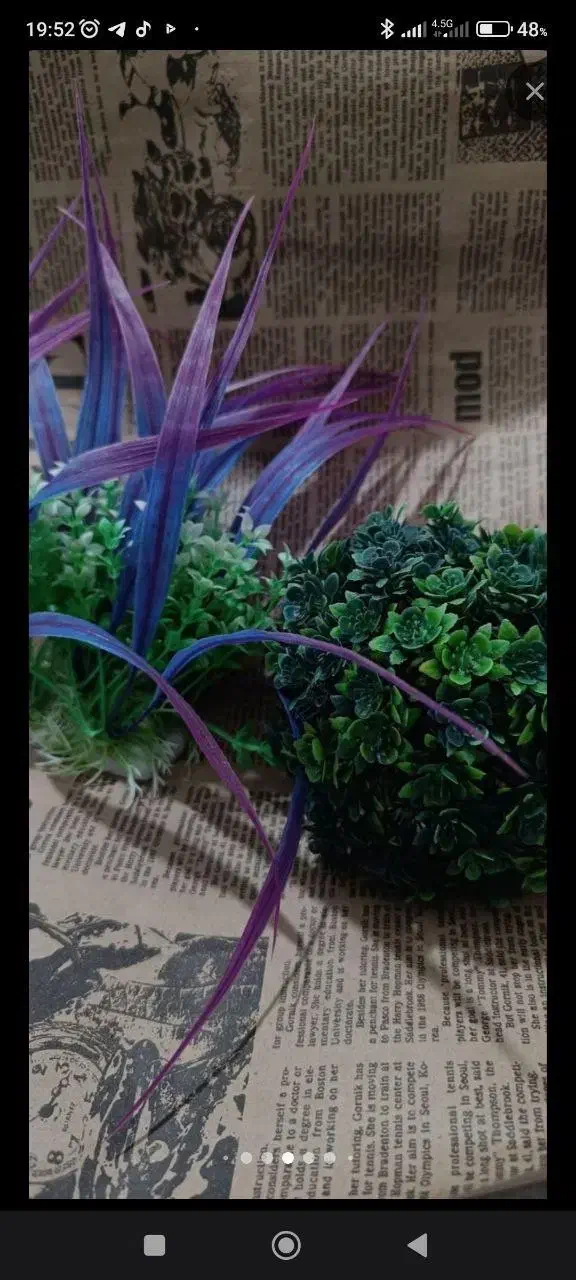 آکواریوم|ماهی|پاکدشت, پاکدشت (مامازند)|دیوار