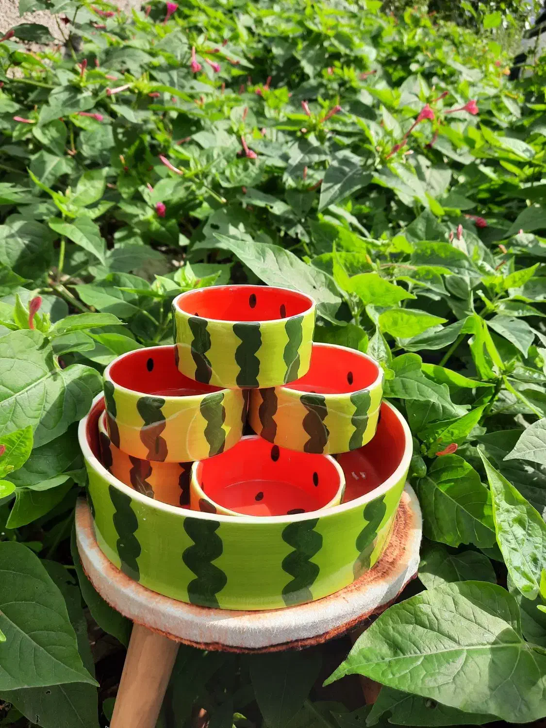 کاسه ۷تیکه سرامیکی هندونه|ظروف سرو و پذیرایی|رشت, هلال احمر|دیوار