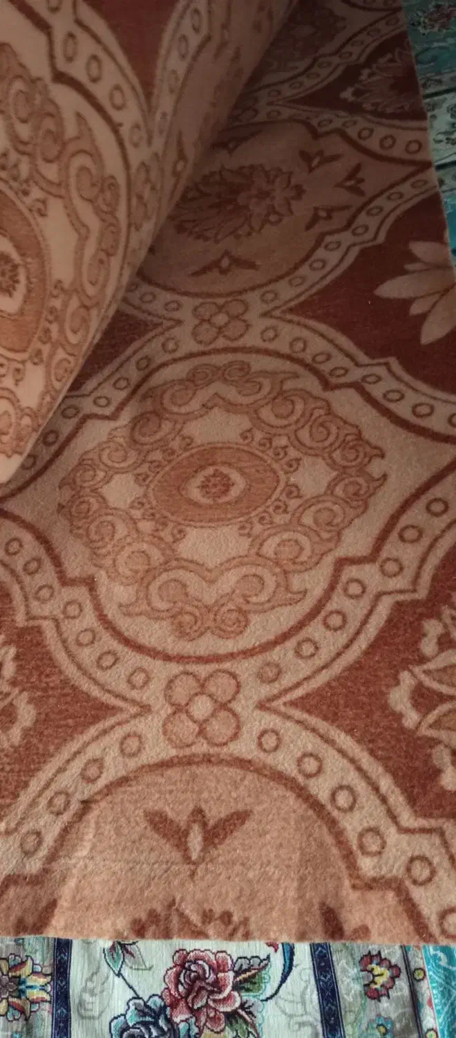 موکت|موکت|تهران, والفجر (افسریه)|دیوار