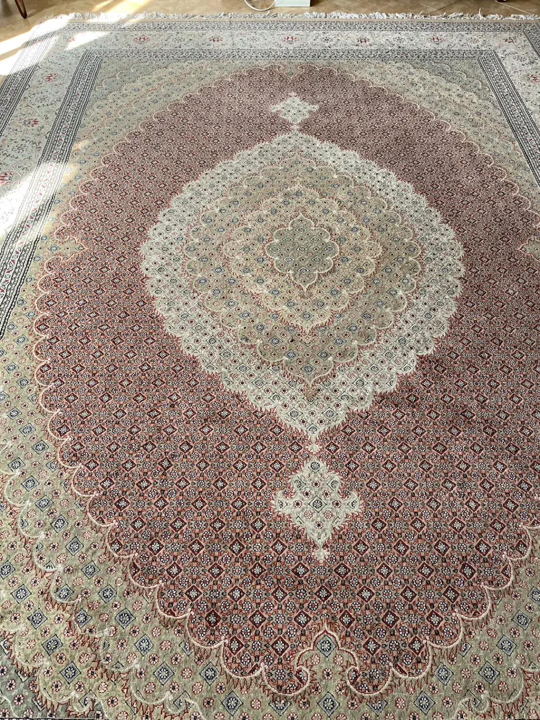 فرش|فرش|مشهد, دانشجو|دیوار