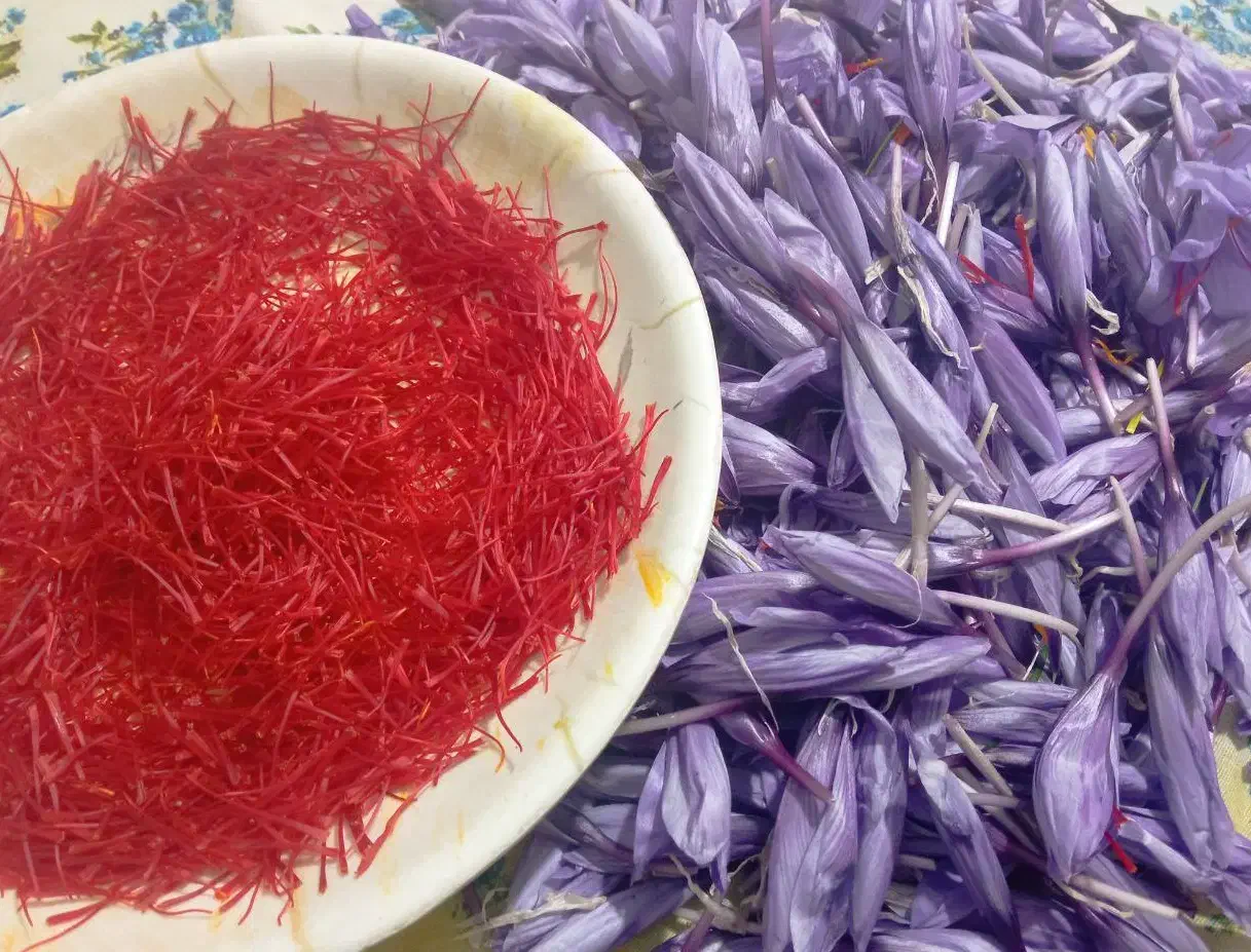 زرشک تازه و آبدارو گل زعفران وپیازچه زعفران|خوردنی و آشامیدنی|تهران, شهرک غزالی|دیوار