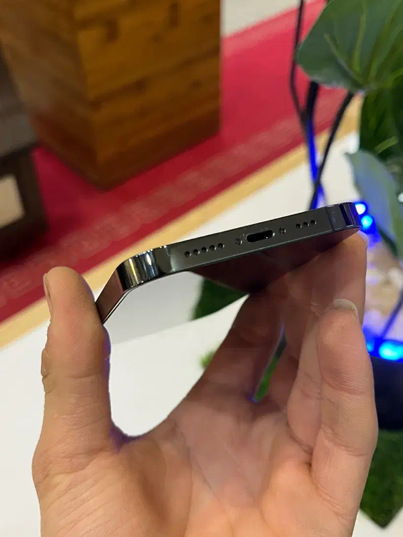 آیفون 12 پرو|موبایل|یزد, |دیوار