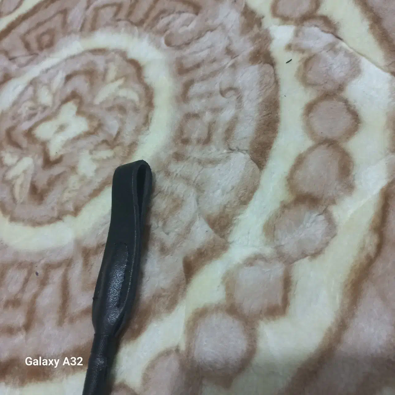 چوبدستی سوارکاری|اسب و تجهیزات اسب‌سواری|ایلام, |دیوار