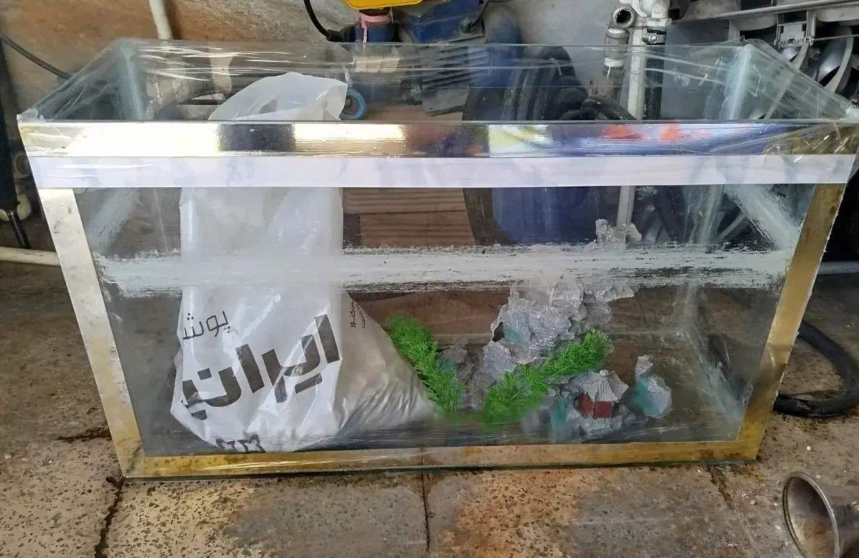 آکواریوم|ماهی|ایلام, |دیوار