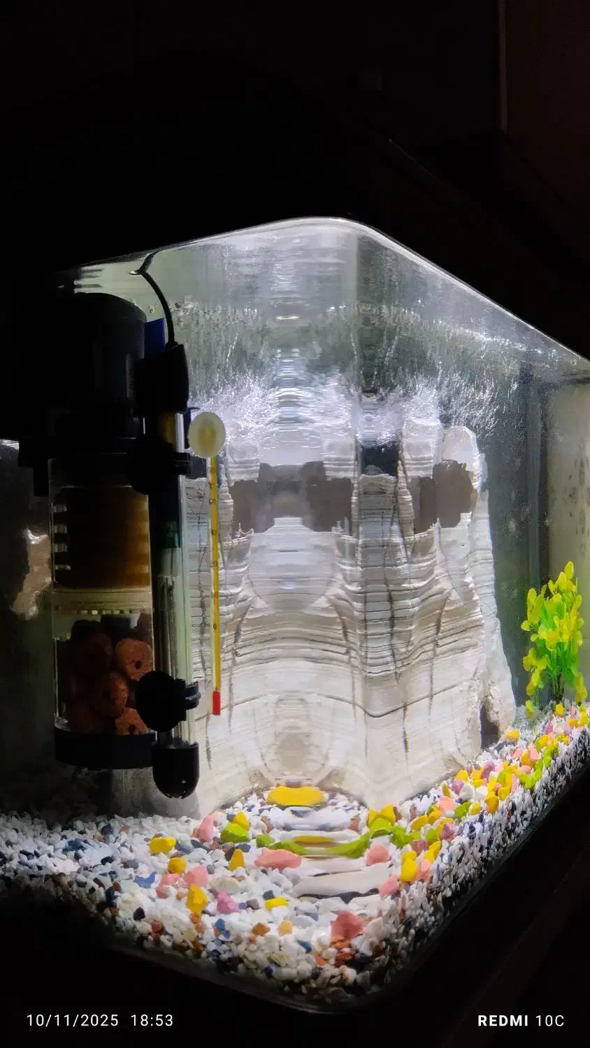 آکواریوم شیشه خم ( با تمام تجهیزات )|ماهی|تهران, جابری|دیوار