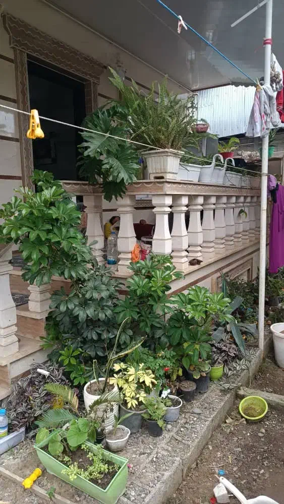 ویلا نقلی مدارک کامل/چند قدمی سپیدرود/مالک فروشنده|فروش خانه و ویلا|کیاشهر, |دیوار