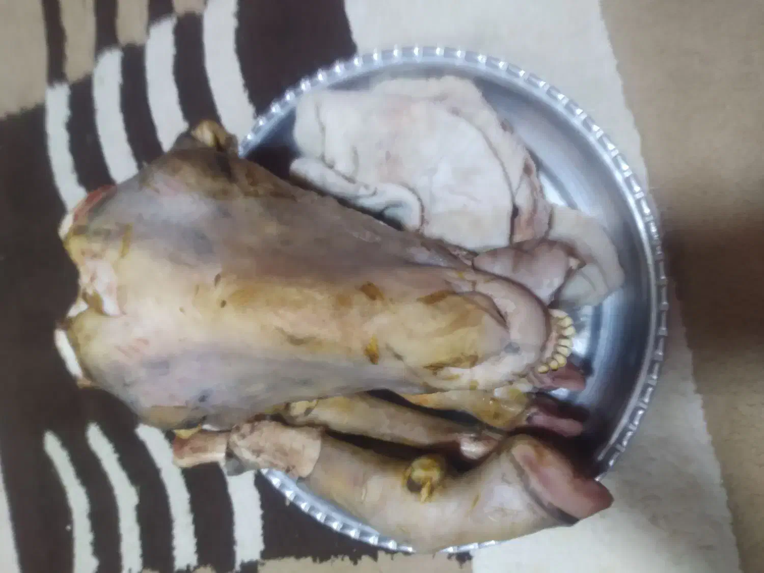 کله پاچه و سیرابی کامل گوسفند|خوردنی و آشامیدنی|فردیس, شهرک ۱۱۰|دیوار