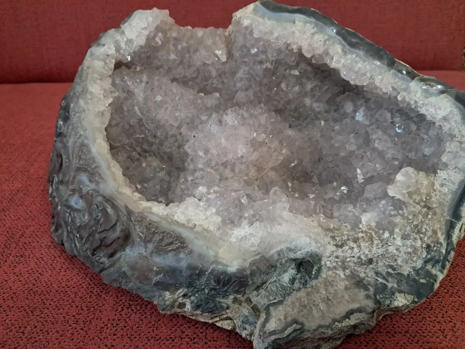 مجسمه جنگل فیل|مجسمه، تندیس، ماکت|تهران, بهارستان|دیوار