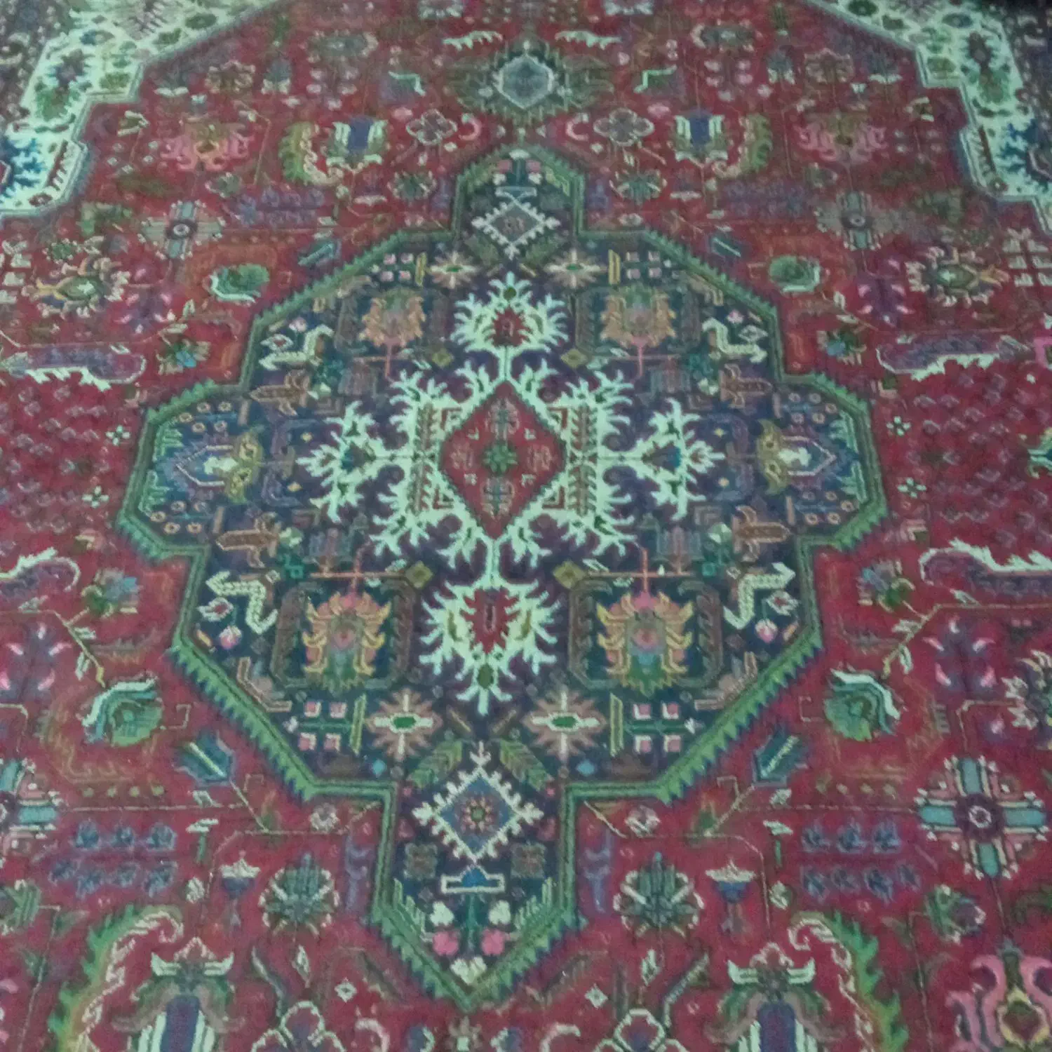 قالی دوازدهمتری دستباف|فرش|شیراز, سیاه سنگ|دیوار