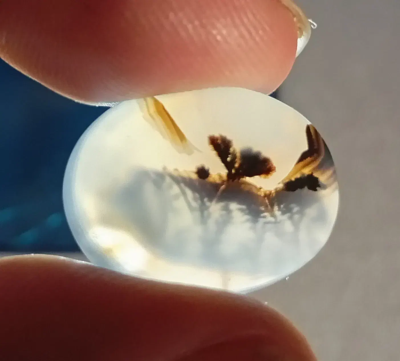 سنگ شجر|جواهرات|خمینیشهر, |دیوار