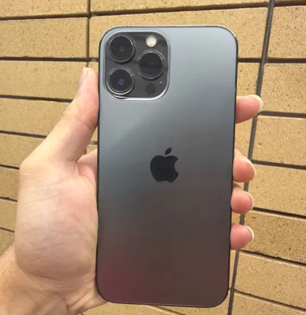 iPhone 13 pro max|موبایل|یزد, |دیوار