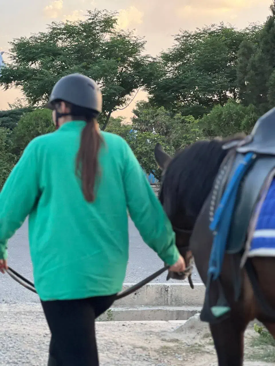 آموزش سوارکاری|اسب و تجهیزات اسب‌سواری|رباط‌کریم, رباط‌کریم|دیوار