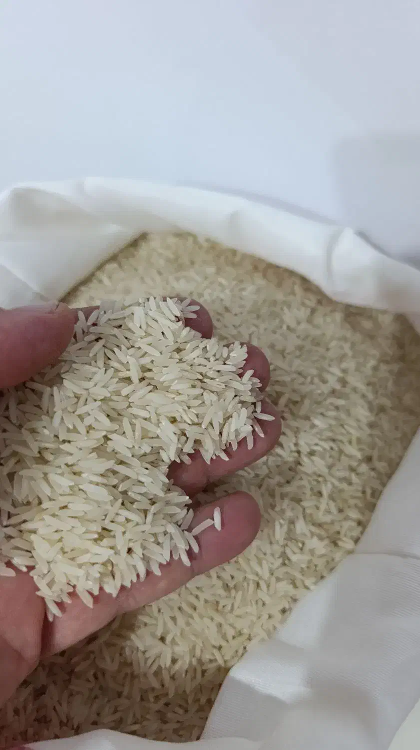 برنج ایرانی (گرگان)|خوردنی و آشامیدنی|فردیس, سرحد آباد|دیوار