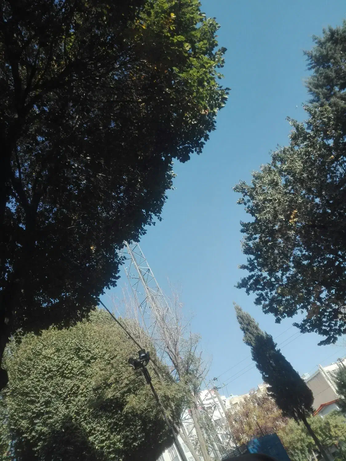 خدمت به طبیعت و وطن و کارهای عام المنفعه|فعالیت داوطلبانه|سرپل ذهاب, |دیوار