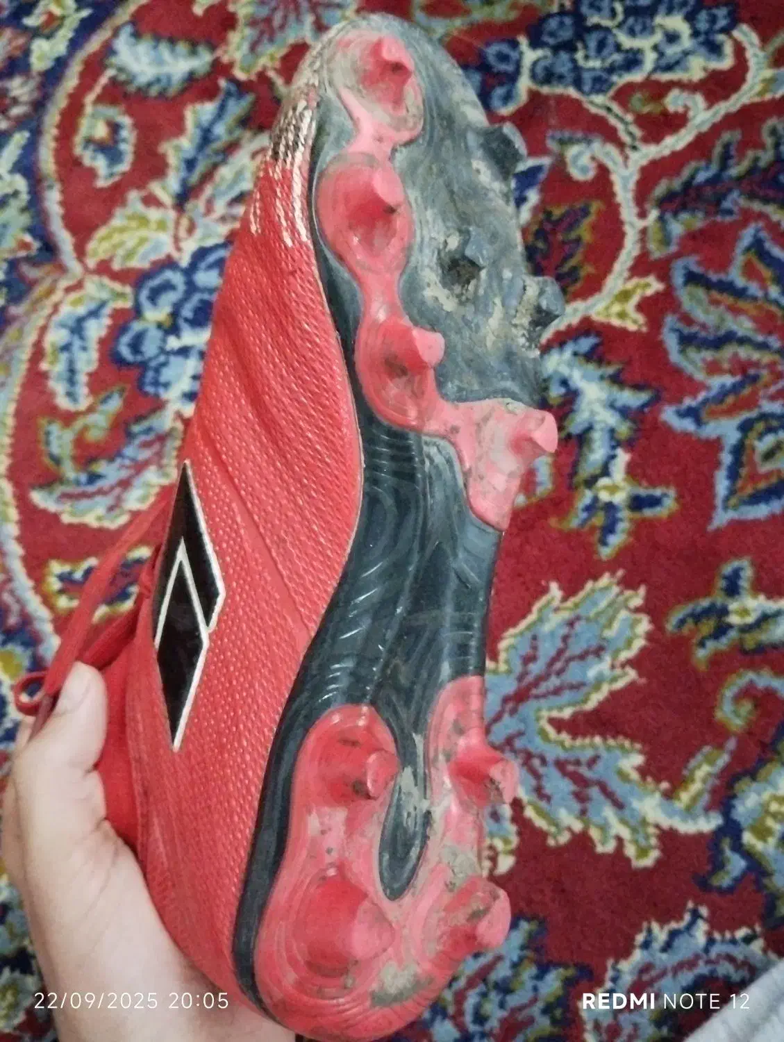 کفش فوتبال چمنی و چمن مصنوعی|ورزشهای توپی|پرهسر, |دیوار