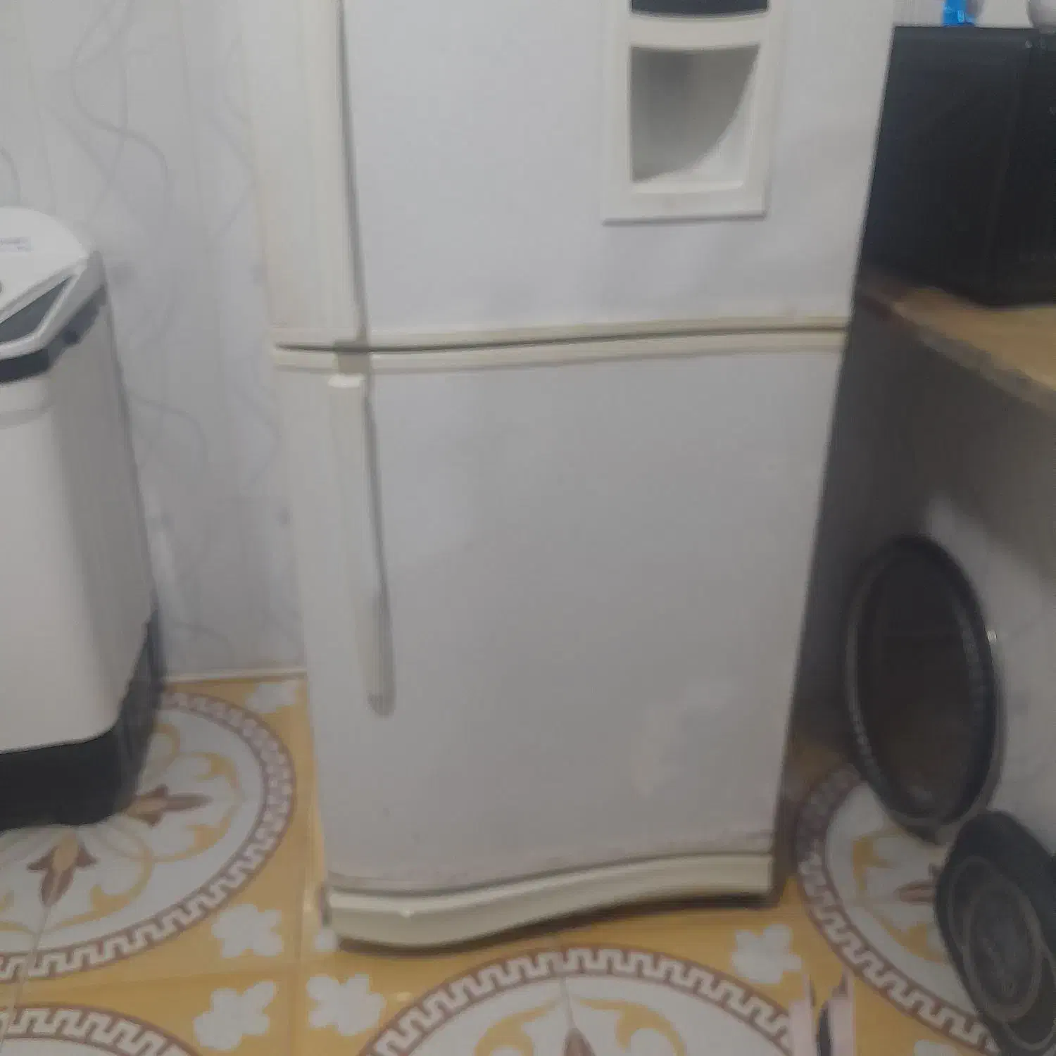 یخچال|یخچال و فریزر|هامون, |دیوار