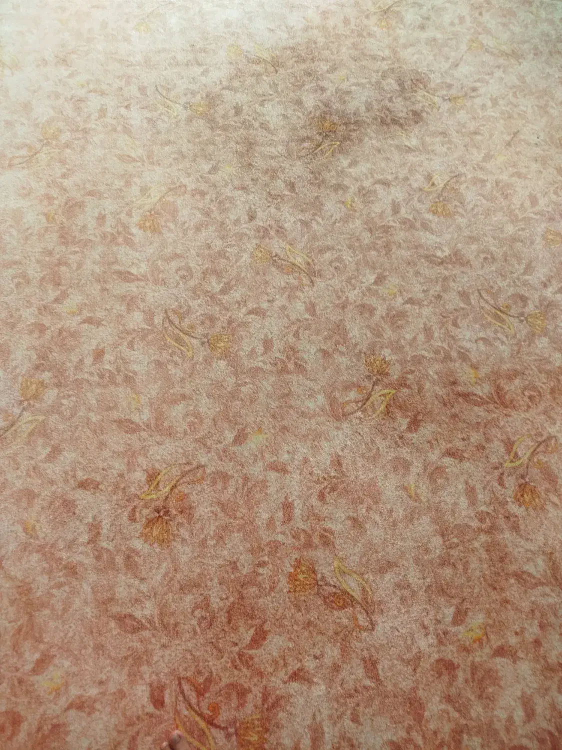 موکت 12متری بدون هیچ زدگی|موکت|ملکشاهی, |دیوار