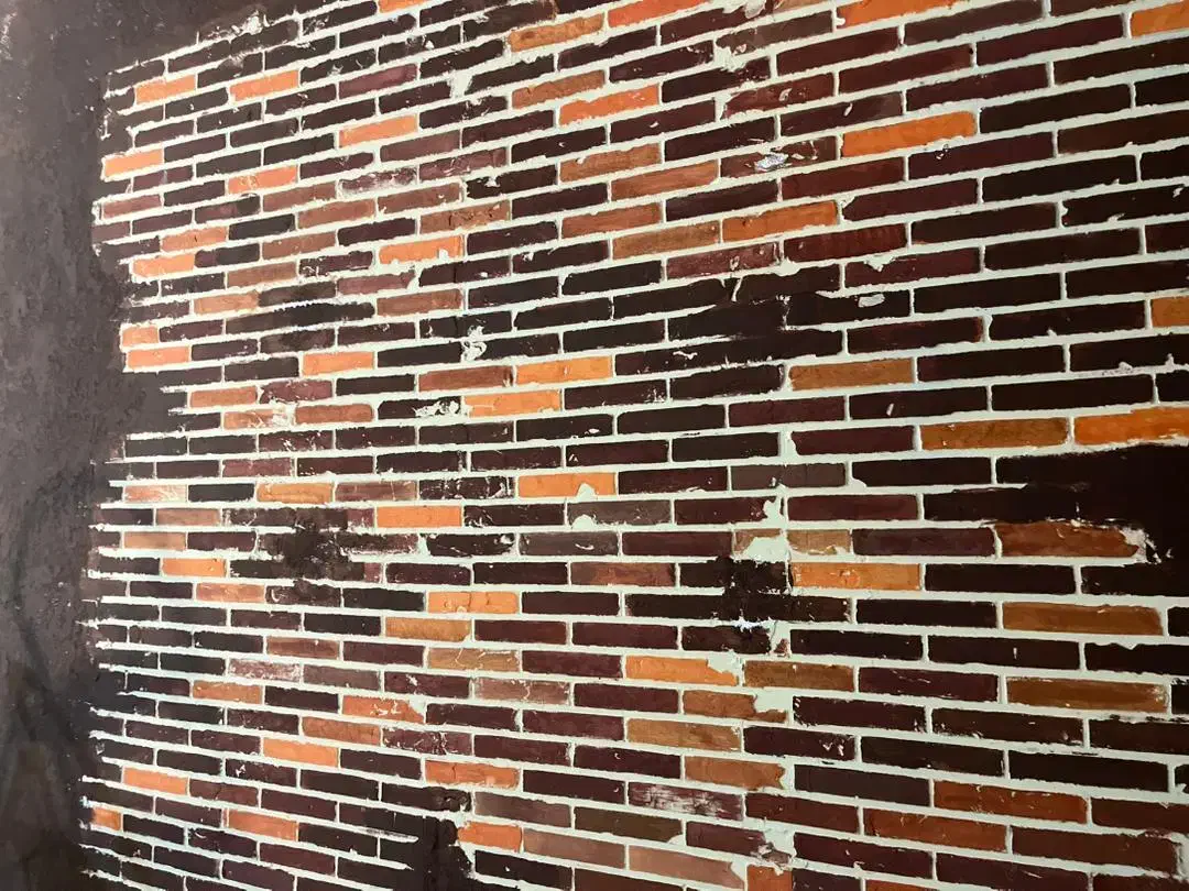 میکروسمنت|خدمات پیشه و مهارت|چالوس, |دیوار