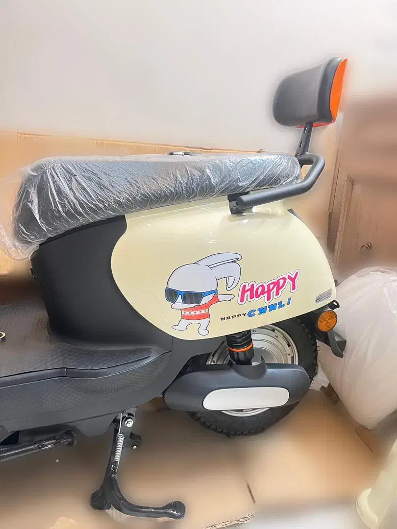 موتور سیکلت|موتورسیکلت|تهران, الهیه|دیوار