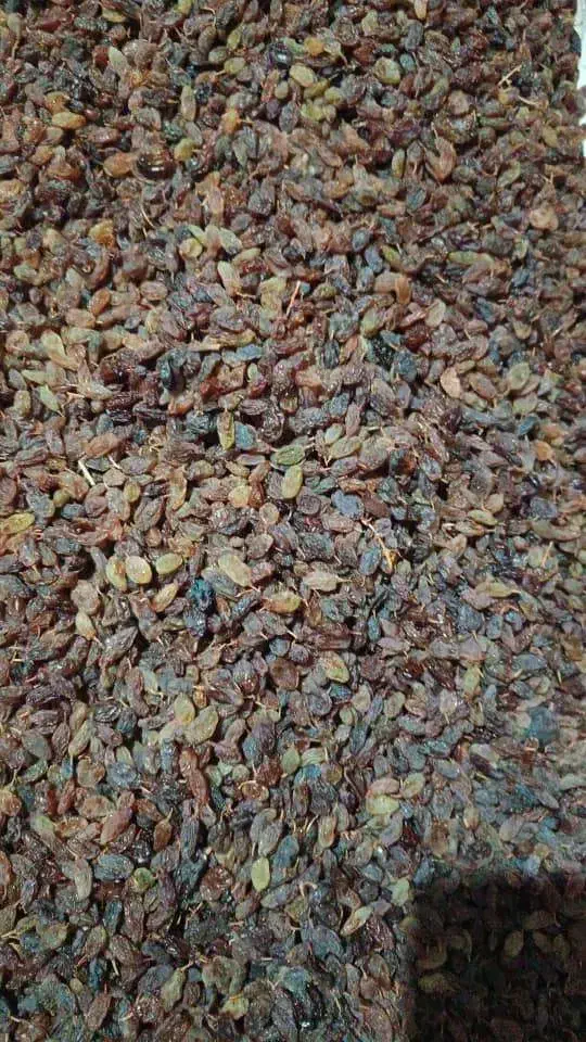 کشمش و لوبیا|خوردنی و آشامیدنی|یاسوج, |دیوار